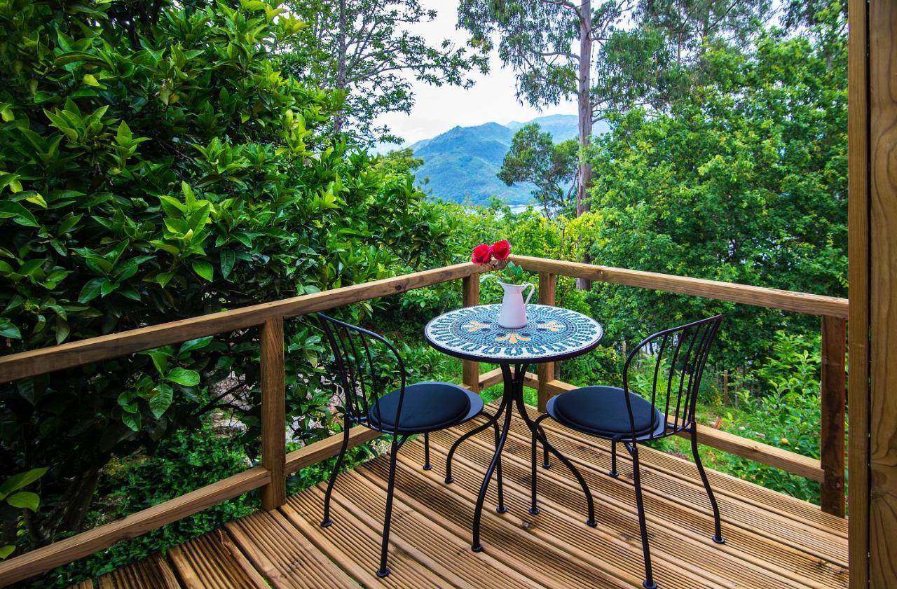 Welcome to Gerês-Green view Vieira do Minho Buitenkant foto